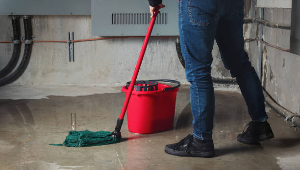 Best Commercial water damage restoration  in Wren, AR