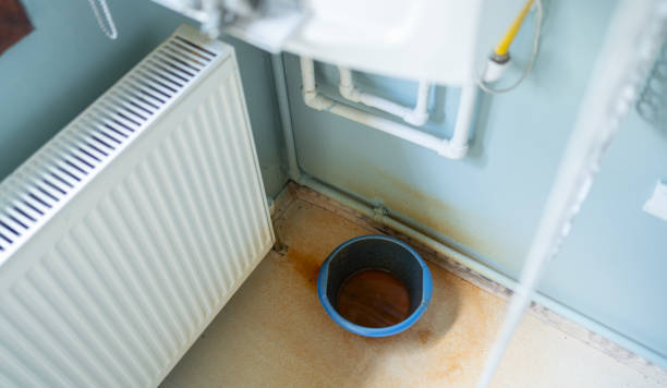Best Mold removal after water damage  in Wren, AR
