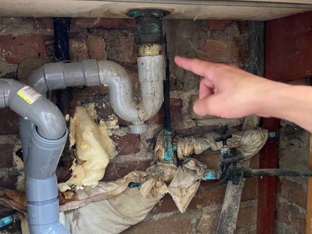 Best Flooded house restoration  in Wren, AR